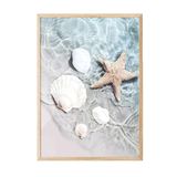 Postifull Starfish And Seashell Çerçeveli Tablo, Dikey Duvar Tablosu Comfort Serisi No:108423;30 X 40 Ahşap Çerçeveli