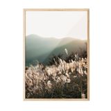 Postifull Sunlight Grass Çerçeveli Tablo, Ahşap Çerçeve Ve Poster, Duvar Tablosu Comfort Serisi No:108408;50 X 70 Ahşap Çerçeveli