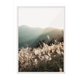 Postifull Sunlight Grass Çerçeveli Tablo, Beyaz Çerçeve Ve Poster, Duvar Tablosu Comfort Serisi No:108408;30 X 40 Beyaz Çerçeveli