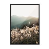Postifull Sunlight Grass Çerçeveli Tablo, Siyah Çerçeve Ve Poster, Duvar Tablosu Comfort Serisi No:108408;21 X 30 Siyah Çerçeveli