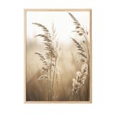 Postifull Sunlight Reed Çerçeveli Tablo, Ahşap Çerçeve Ve Poster, Dikey Duvar Tablosu Comfort Serisi No:108409;30 X 40 Ahşap Çerçeveli
