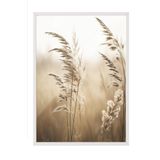 Postifull Sunlight Reed Çerçeveli Tablo, Beyaz Çerçeve Ve Poster, Dikey Duvar Tablosu Comfort Serisi No:108409;10 X 15 Beyaz Çerçeveli