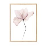 Postifull Watercolour Flower Çerçeveli Tablo, Ahşap Çerçeve Ve Poster, Duvar Tablosu Comfort Serisi No:108492;33 X 48 Ahşap Çerçeveli