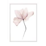 Postifull Watercolour Flower Çerçeveli Tablo, Beyaz Çerçeve Ve Poster, Duvar Tablosu Comfort Serisi No:108492;10 X 15 Beyaz Çerçeveli
