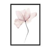 Postifull Watercolour Flower Çerçeveli Tablo, Siyah Çerçeve Ve Poster, Duvar Tablosu Comfort Serisi No:108492;33 X 48 Siyah Çerçeveli