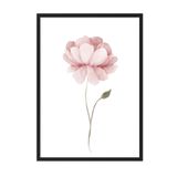 Postifull Watercolour Peony Çerçeveli Tablo, Siyah Çerçeve Ve Poster, Duvar Tablosu Comfort Serisi No:108493;13 X 18 Siyah Çerçeveli