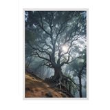 Postifull Whomping Willow Çerçeveli Tablo, Beyaz Çerçeve Ve Poster, Duvar Tablosu Comfort Serisi No:108289;21 X 30 Beyaz Çerçeveli
