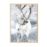 Postifull Winter Reindeer Çerçeveli Tablo, Ahşap Çerçeve Ve Poster, Duvar Tablosu Comfort Serisi No:108509;10 X 15 Ahşap Çerçeveli
