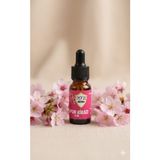 Pote Aroma Japon Kirazı esansı 10ml uçucu buhurdanlık oda ve ortam kokusu..