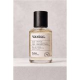 Potion Alchemist Vandal EDP Erkek Parfüm 50 ml | Narenciye, Aromatik | Portakal, Lime, Mandalina, Sedir Ağacı, Beyaz