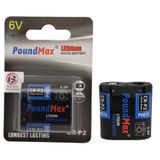 PoundMax CRP2 6V Lityum Pil Fotoğraf Makinesi için (CR223,DL223)