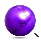 Povit Pilates Egzersiz Topu 65 cm Mor LKS04-MO