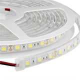 Powerline PLD-220M 220V Dış Mekan Mavi Led Şerit