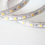 Powerline PLD-220R 220V Dış Mekan RGB Led Şerit