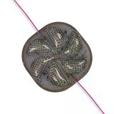 Powermaster 12 Volt 3 Watt Soğuk Beyaz Yanıp Sönen 6565-2835 Modül Led