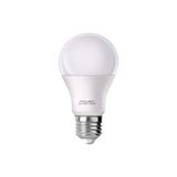 Powermaster 12V E27 850lmn 10W 6500k Beyaz Led Ampul (PMLED-12V)