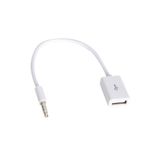 Powermaster 33294 USB to AUX Stereo Kablo
