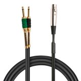 Powermaster Magicvoice LD369A 3.5 mm Canon Erkek 6.3 mm Mono Erkek 1.5 Metre Kablo