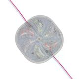 Powermaster Pm-14703 12 Volt 3 Watt Karışık (R+G+B) Yanıp Sönen Çakar 6565-2835 Modül Led 65X65x12mm Vitrin