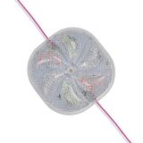 PowerMaster PM-14703 12 Volt 3 Watt Karışık (R+G+B) Yanıp Sönen Çakar 6565-2835 Modül Led 65x65x12mm