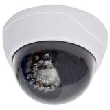 Powermaster PM-1900 Gece Gündüz Sensorlu Maket Dome Kamera