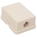 Powermaster Pm-2477 Tekli 6P/2C Rj11 Telefon Prizi Dağıtım Kutusu