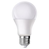 Powermaster Pm-29496 E27 12 Volt 10 Watt 6500K Yerli Üretim Beyaz Led Ampul