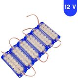 Powerr Led Aydınlatma 10 Adet 12 Volt 2.4 Watt 12 Smd Ledli Animasyonlu Mavi Çakar Modül