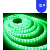 Powerr Led Aydınlatma 12 Volt 8 mm 4040 Smd Yeşil Iç Mekan 60 Ledli 5 Metre Şerit LED