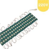 Powerr Led Aydınlatma 200 Adet 220 Volt 2 Watt 3 Lensli Yeşil 2835 Smd LED Modül IP65 1 Paket