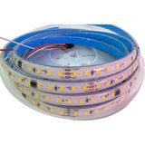 Powerr Led Aydınlatma 24 Volt 3000K Günışığı Argb Pixel Magic Kayar 60 LED 5050 Smd Ip 67 Dış Mekan 5 Metre