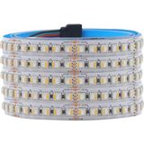 Powerr Led Aydınlatma 24 Volt Rgbw 4 Renk Rgb ve Beyaz Renk 5050 Smd Iç Mekan 60 LED 5 Metre Şerit LED