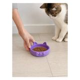 Poyraz Market Papyon Model Beton Kedi Köpek Mama ve Su Kabı 16 cm Çap - Mor