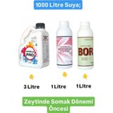 Pozitif Gübre Zeytin Somak Çiçek Öncesi Uygulama Zengin Mikroelement Içeriği Azotlu Fosforlu Sıvı Gübre Tüm Sezon