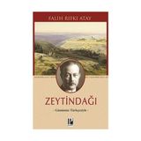 Pozitif Yayınları Zeytindağı (Günümüz Türkçesiyle) + Hobbit + Küçük Kar Tanesi + 27 Kitap - Hayır