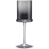 Pozzi Milano Fun Classy 2'li Cam Şarap Kadehi Seti 270 Ml- Duman Grisi - 2 Adet