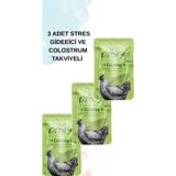 Pramy Calming Jöle Içinde Somonlu ve Tavuklu Kedi Yaş Maması 70 gr x 3 Adet