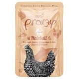 Pramy Hairball Sos İçinde Ton Balıklı ve Tavuklu 70 gr Kedi Yaş Maması