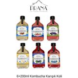 Prana 6×200ML Kombucha Karışık Koli (Zencefil-Limon, Tarçın-Karanfil, Reyhan, Ahududu, Aronya, Yaban Mersini) - 1