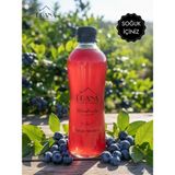 PRANA Kombucha Yaban Mersini - 6*330ml - Fermente Probiyotik İçecek