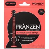 Pranzen Akustik Gitar Teli Customlıght