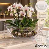 Pratik Dayanıklı Şık 3.8lt Tabaklı Şeffaf Oval Orkide Saksısı-Ev Balkon Gondol Saksı 36x16x13,5cm