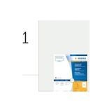Pratik Ev 8694 Etiketleri Dın A3 297 x 420 Mm, 50 Yaprak, Polyester Folyo, Kendinden Yapışkanlı, Yazdırılabilir, Kalıcı Yapışkan Folyo, 50 Yapışkan Etiket, Şeffaf - Çok Renkli - Standart - Otomatik