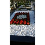 Pratik Ev Beyaz Dolomit Mezar ve Bahçe Süs Taşı 3 Kg, 2-4 cm - 10 x 10 cm - Çok Renkli