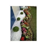 Pratik Ev Beyaz Dolomit Taş 15 kg 1,5-2 cm Bahçe Taşı Dekoratif Dere - 10 x 10 cm - Çok Renkli