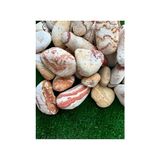 Pratik Ev Sarı Çizgili Dolomit Bahçe Dekor Taşı 25 Kg, 2,5-4 cm - 10 x 10 cm - Çok Renkli