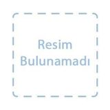 PRATIK İNGİLİZCE KONUŞMA KILAVUZU - MEHMET AKTAR