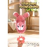 Prego Toys Titreşimli Oyuncaklar,PRG-P210618-RNKL