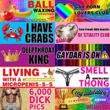 Prejoy 10 ADET Komik Şaka Mıknatısı Tampon Çıkartması, Gökkuşağı Eşcinsel Pride Yetişkinler Şakalar Manyetik İşaret Araç Kamyon Araba için Yeniden Kullanılabilir Mıknatıs Sticker Buzdolabı için