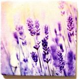 Premini Doğal Taşlı Dekoratif Banyo Gider Kapağı, 10X10 Cm, Şık Tasarım - Seçenek 1